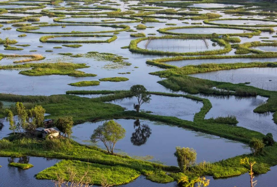 Loktak Lake, Manipur, India